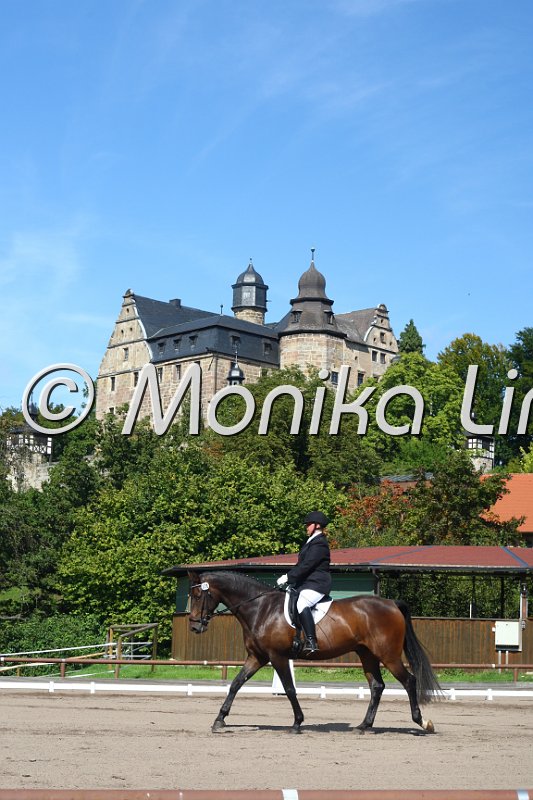 009M2268_Williams_Dressur E.JPG